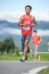 BIB: 
                            <button type="button" onclick="openModal(26540035)" class="btn btn-primary btn-sm float-right btn-popup" data-toggle="modal" data-target=".modal-high-quality">
                        <i class="fas fa-shopping-cart"></i> Add to Cart
                    </button>
                                            <button type="button" onclick="isThisMe(26540035, true)" class="btn btn-success btn-sm float-right btn-popup btn-isme hidden" data-toggle="tooltip" data-placement="bottom" title="นี่คือรูปของคุณใช่ไหม คลิกที่นี่เพื่อเอาเข้าอัลบั้ม">
                        <i class="fas fa-plus"></i> Add to album
                    </button>
                    <button type="button" onclick="isThisMe(26540035, false)" class="btn btn-warning btn-sm float-right btn-popup btn-isnotme hidden">
                        <i class="fas fa-ban"></i> Remove from album
                    </button>